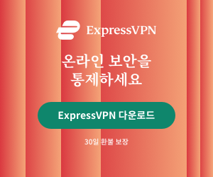 Express VPN 가성비 속도 최고, 50% 할인. 컴퓨터 VPN 추천