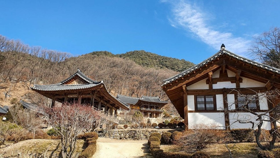 국내 기차여행 영주 부석사 백두대간 협곡열차 분천 산타마을