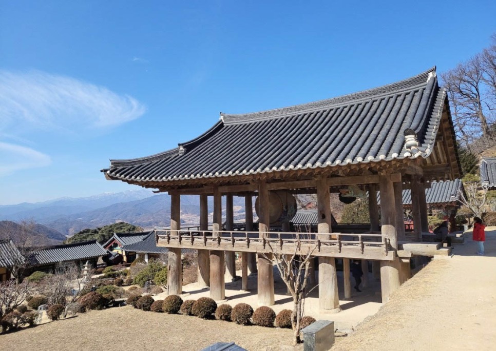 국내 기차여행 영주 부석사 백두대간 협곡열차 분천 산타마을