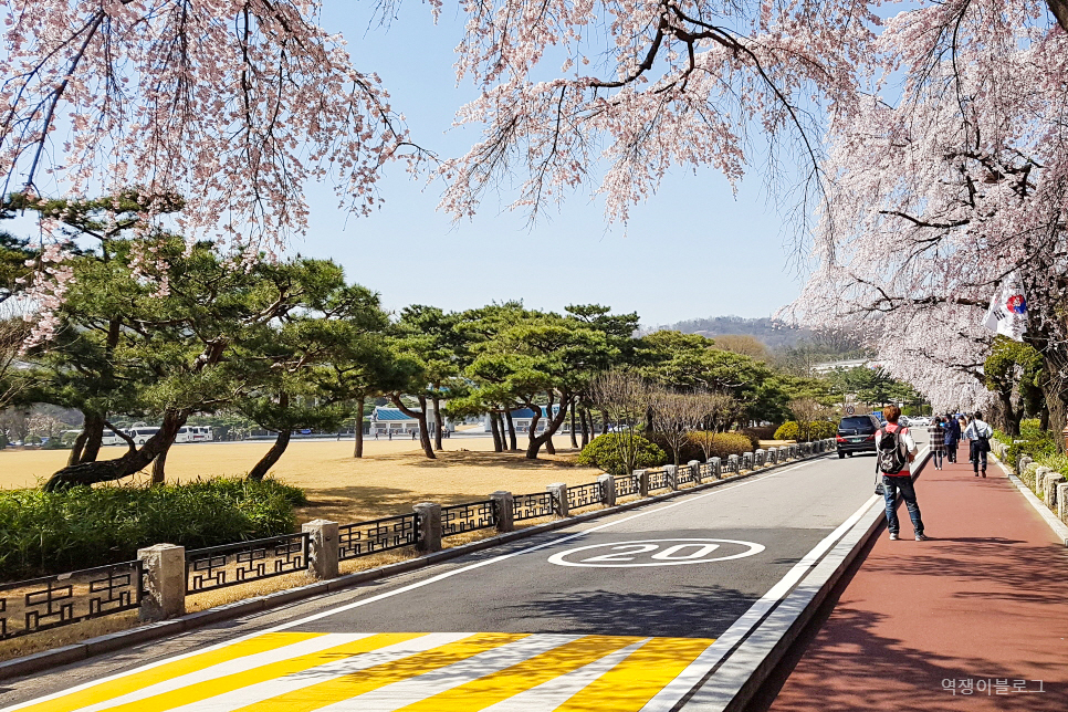 서울 여행 지하철 4호선 주변 볼거리, 명소 등 갈만한곳 11곳 모음