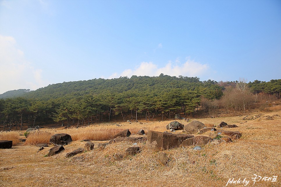 겨울 고창 가볼만한곳 선운사 고창 고인돌 유적지 운곡습지