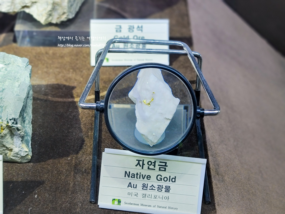 서울 아이랑 갈만한곳 서대문자연사박물관