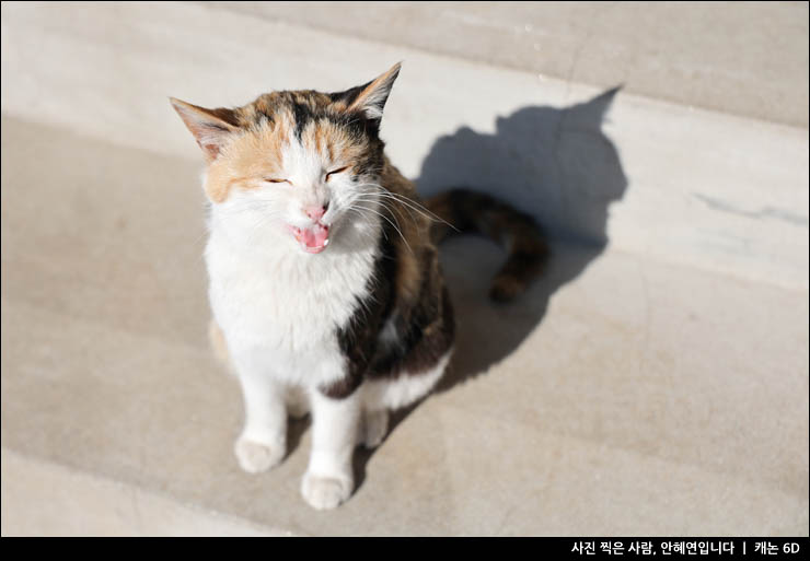 강원도 여행지 속초 카페 추천 한옥카페 도문커피