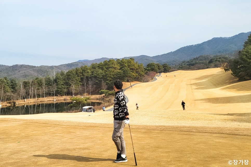 비거리 골프 샤프트 추천, 더스틴존슨의 LA골프