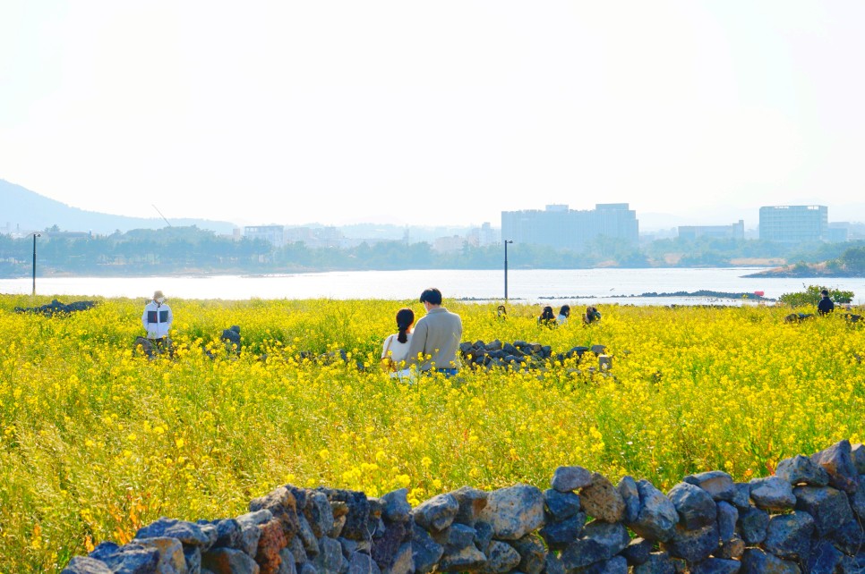 제주 성산 가볼만한곳 성산일출봉 예쁜 성산 카페 등 5곳