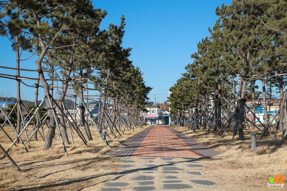 경북 드라이브코스 블루로드 영덕 고래불해수욕장 바다 겨울드라이브