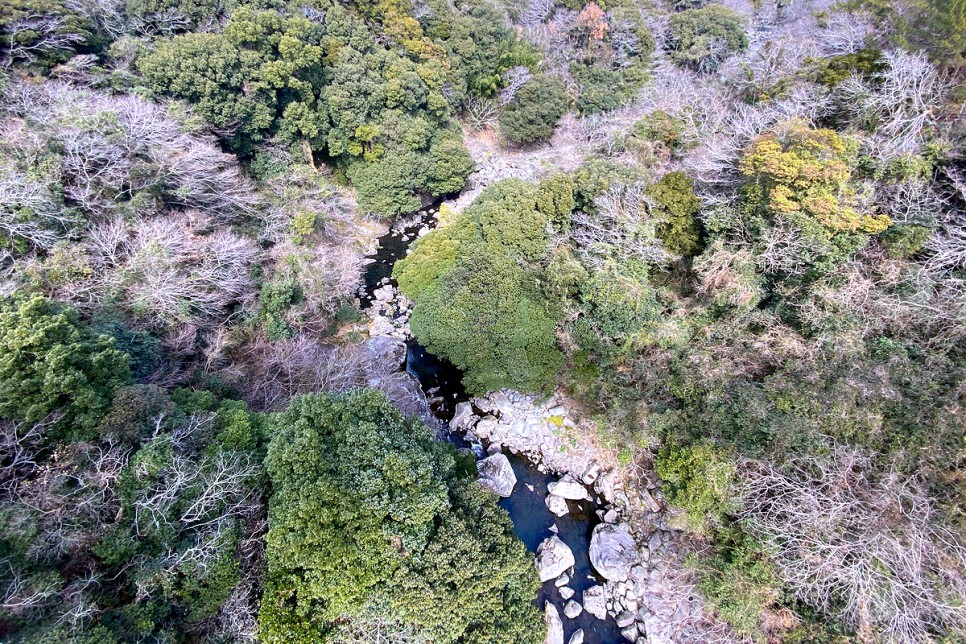 제주 중문 가볼만한곳 제주도 주상절리 여행 코스 5