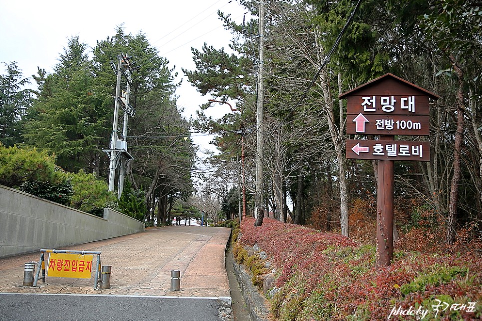 진주 가볼만한곳 진주 진양호 동물원 공원 경남 여행 진주 냉면 까지