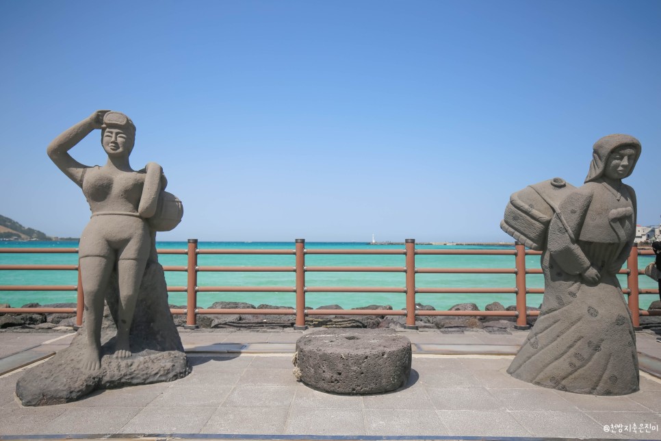 제주도항공권 9,900 특가오픈 득템해보아요!