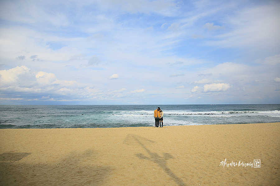 강릉 혼자여행 안목해변 강문해변