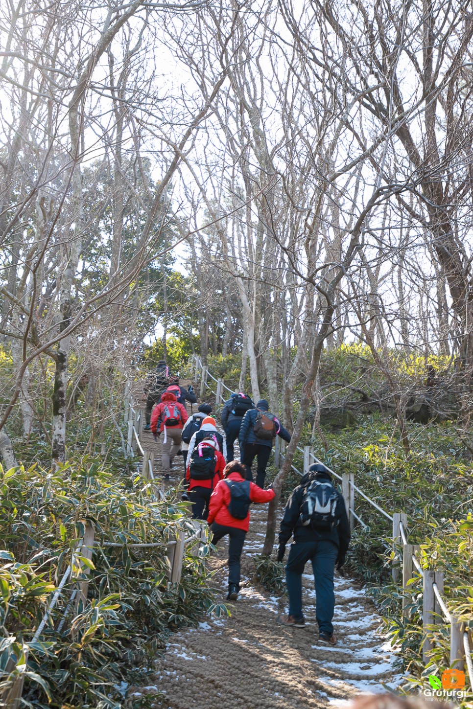 제주 한달살기 제주도 한라산 둘레길 걸으며 국내 힐링여행