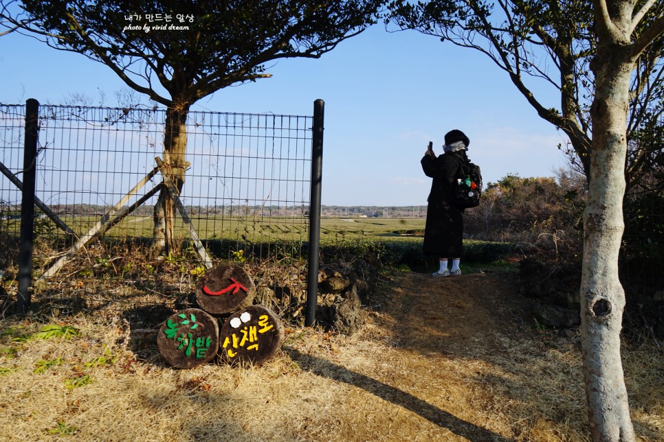 제주도 서귀포 호텔 가성비 좋은 제주 항공우주호텔