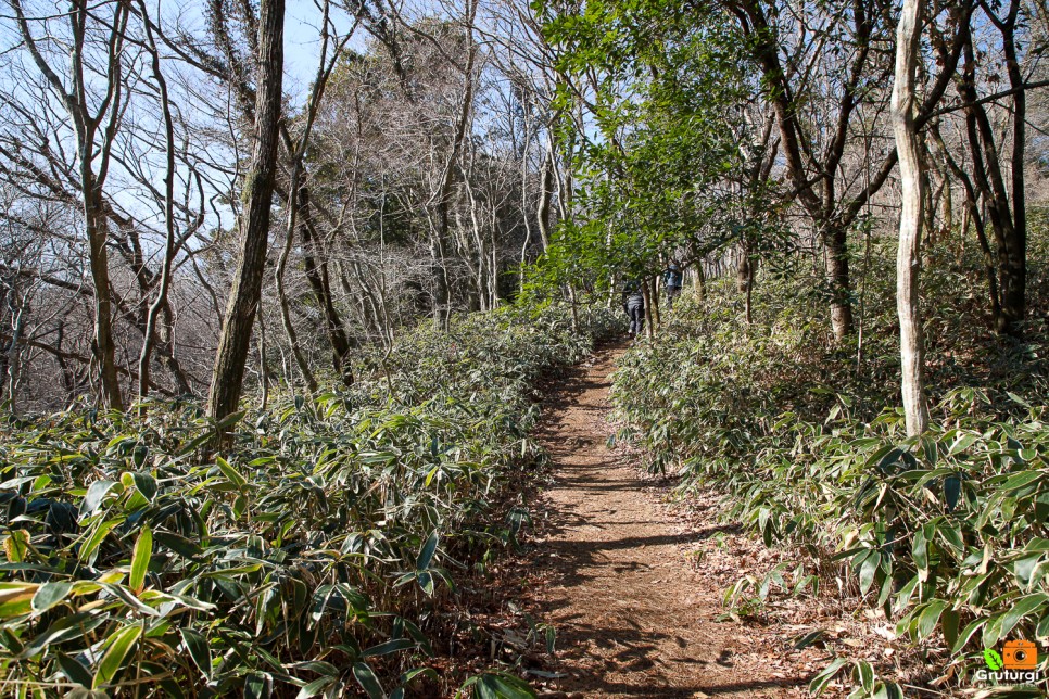 제주 한달살기 제주도 한라산 둘레길 걸으며 국내 힐링여행