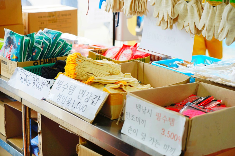 제주도 배낚시 체험 바다 선상에서 차귀도 달래배낚시 제주 놀거리