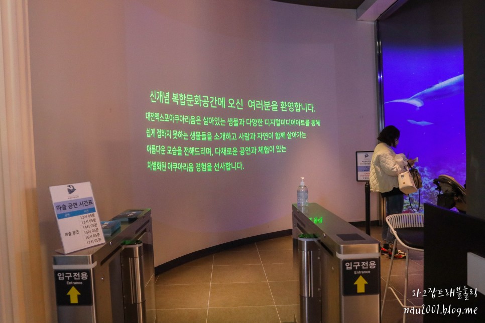 대전 신세계 엑스포 아쿠아리움 할인 입장권 관람후기