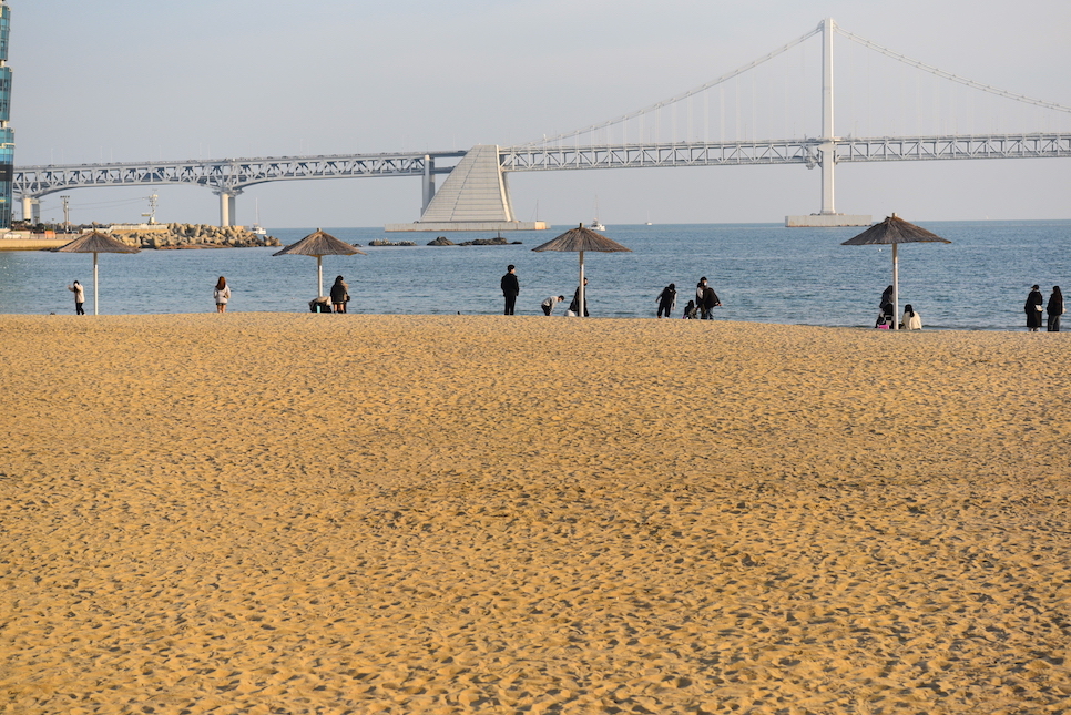 아고다 3월 할인코드 필요하신 분들 꼭 챙기세요!