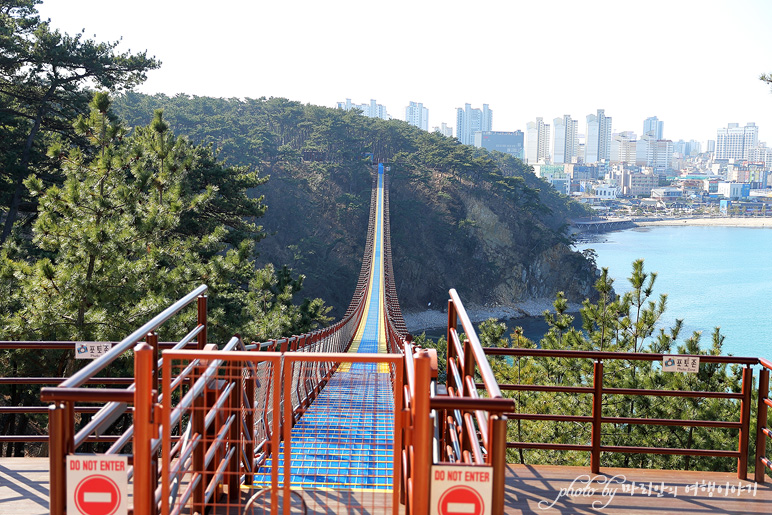 울산 관광지 대왕암 공원 출렁다리 울산 바닷가 일산해수욕장 바다