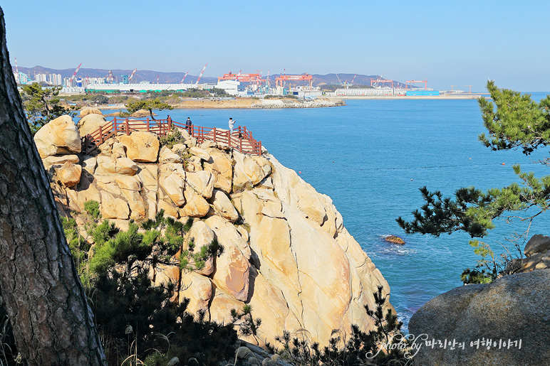 울산 관광지 대왕암 공원 출렁다리 울산 바닷가 일산해수욕장 바다