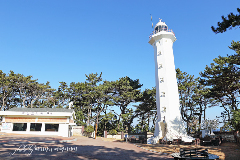 울산 관광지 대왕암 공원 출렁다리 울산 바닷가 일산해수욕장 바다