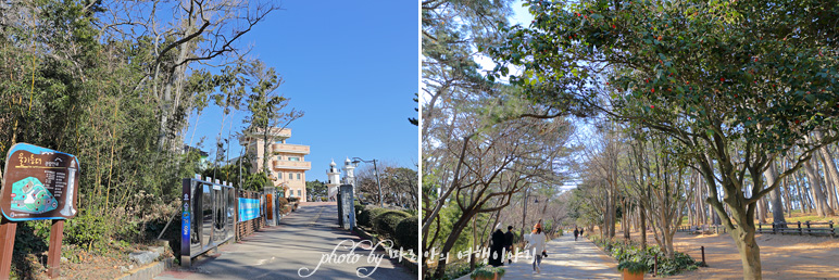 울산 관광지 대왕암 공원 출렁다리 울산 바닷가 일산해수욕장 바다