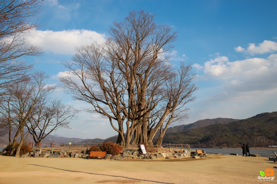 국내 당일치기 여행 경기도 양평 두물머리 연 핫도그