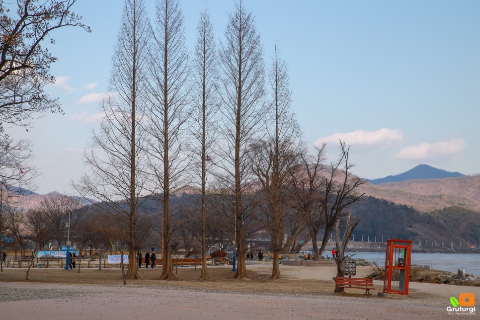 국내 당일치기 여행 경기도 양평 두물머리 연 핫도그