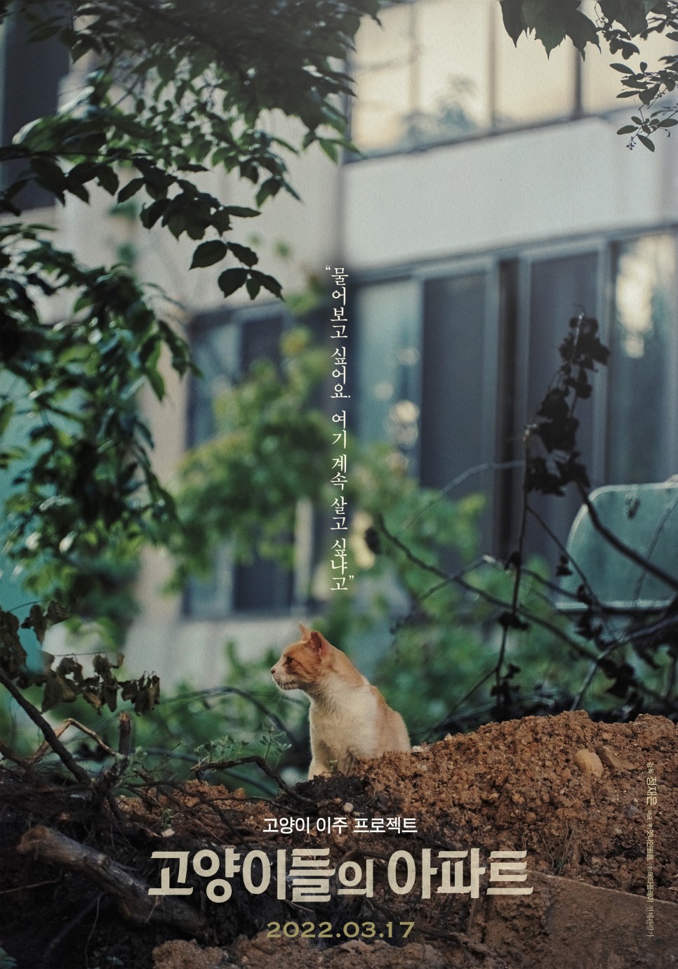 [영화 시사회 후기] 고양이들의 아파트 : 고양이 이주 프로젝트 '고양이 영화'