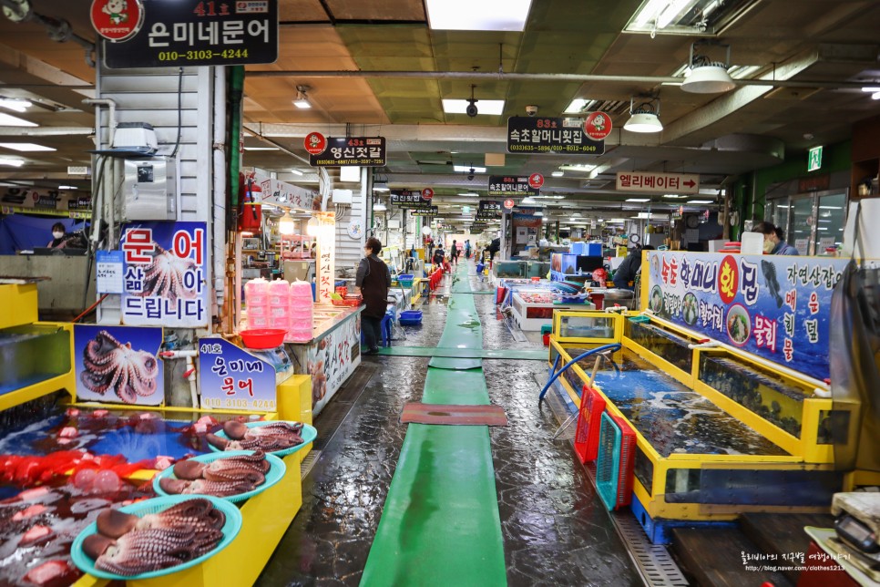 속초 중앙시장 먹거리 만석닭강정 회포장 주차장