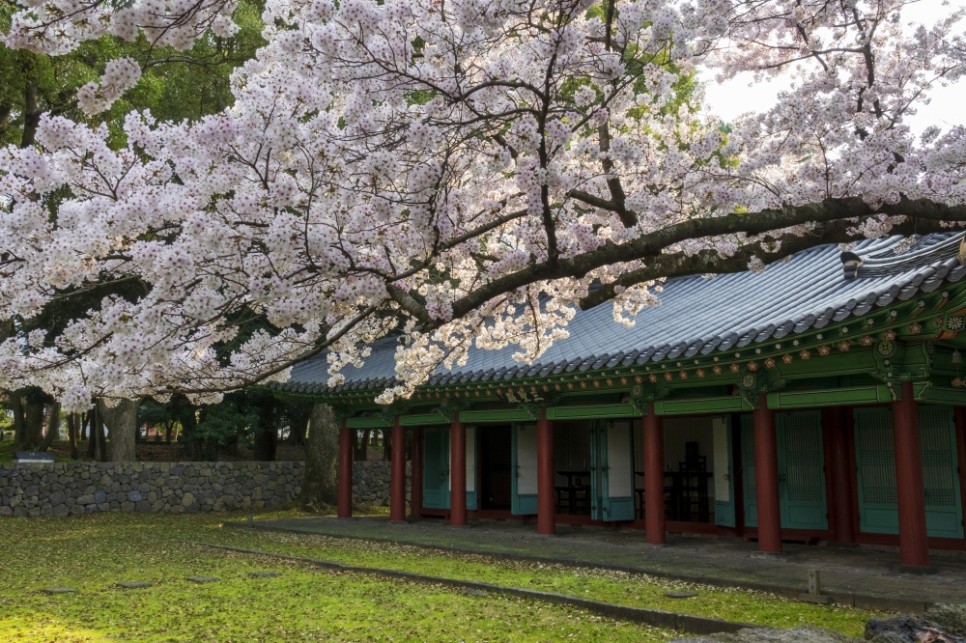 3월 국내 여행지 추천 봄꽃축제:: 3월, 4월 가볼만한곳