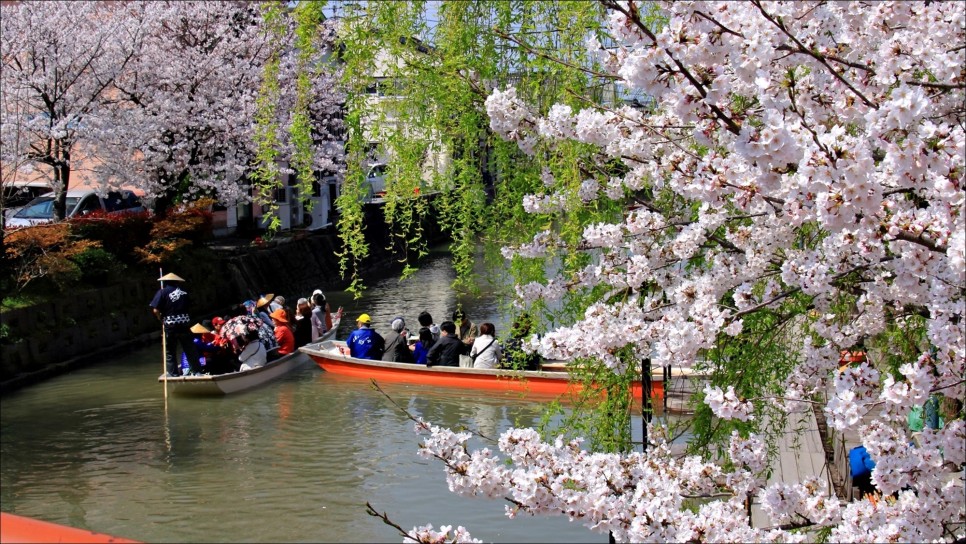 봄과 함께 맞이하는 진에어 일본 후쿠오카 여행 가볼만한곳!