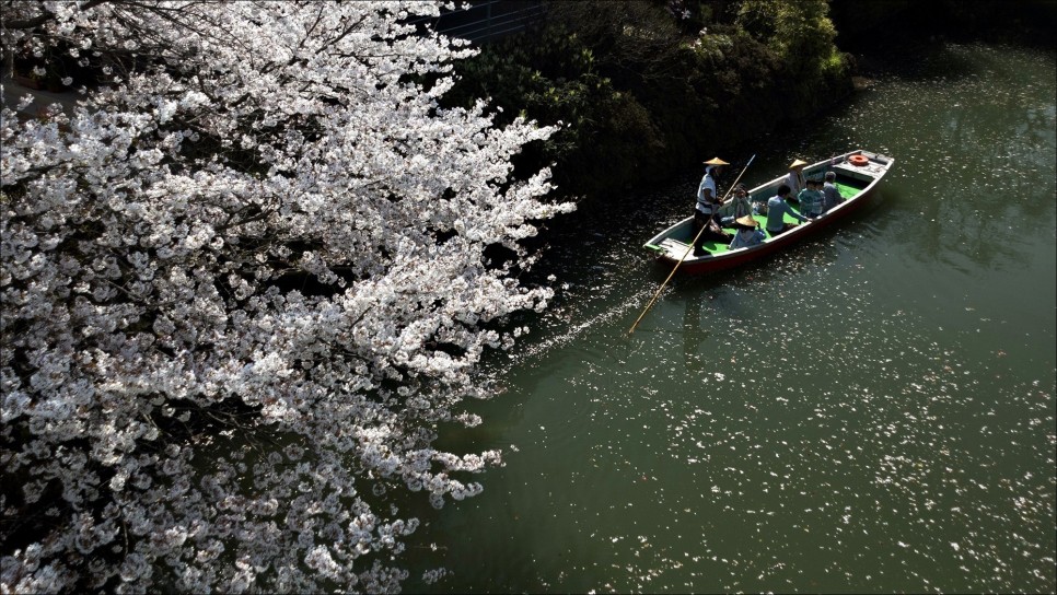 봄과 함께 맞이하는 진에어 일본 후쿠오카 여행 가볼만한곳!