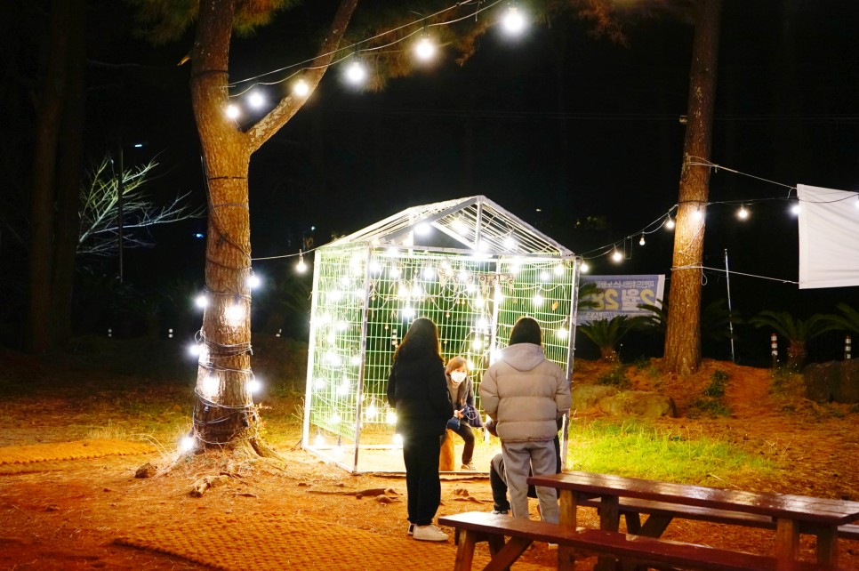 제주공항근처 가볼만한곳 수목원길 야시장 외 제주시 가볼만한곳