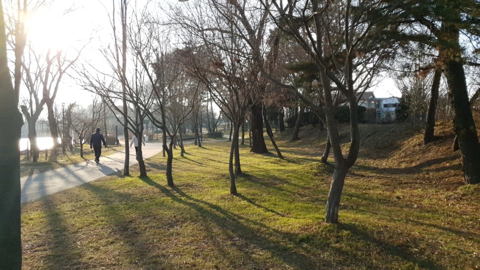 로또 1등 제1006회 당첨 번호 당첨자 9명 1003회 90억 복권 인증