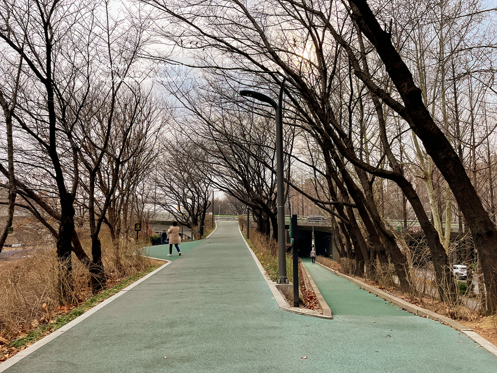 서울 걷기 좋은길 양재천 산책로, 산책하기 좋은곳