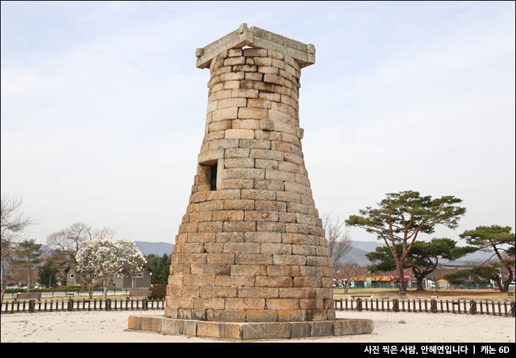 여자 혼자 국내여행 제주 부산 경주 여수 강릉 혼자여행 추천 도시