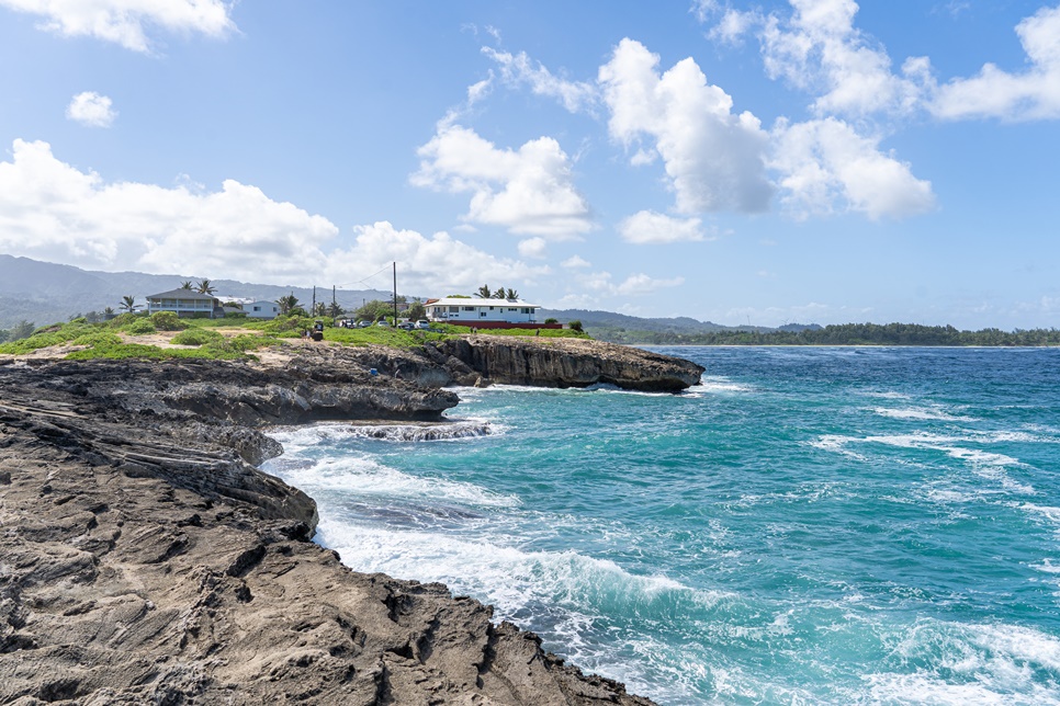 해외여행지 추천 하와이 여행 : 라이에포인트, 후킬라우 마켓