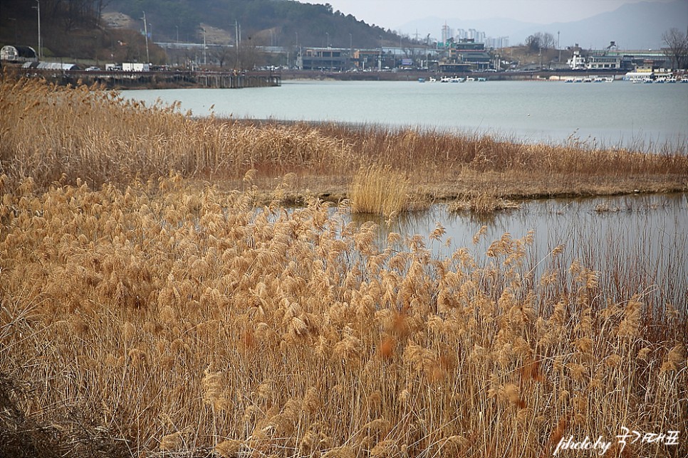 서울근교 당일치기 여행 의왕 백운호수 둘레길 오리배