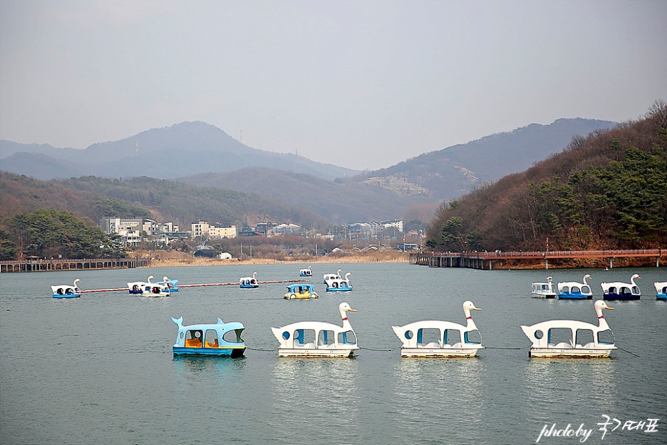 서울근교 당일치기 여행 의왕 백운호수 둘레길 오리배