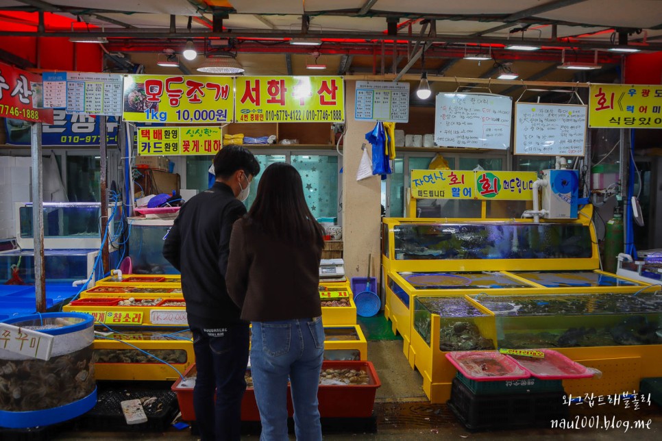 태안 가볼만한곳 파도리 해수욕장 해식동굴 외 4곳