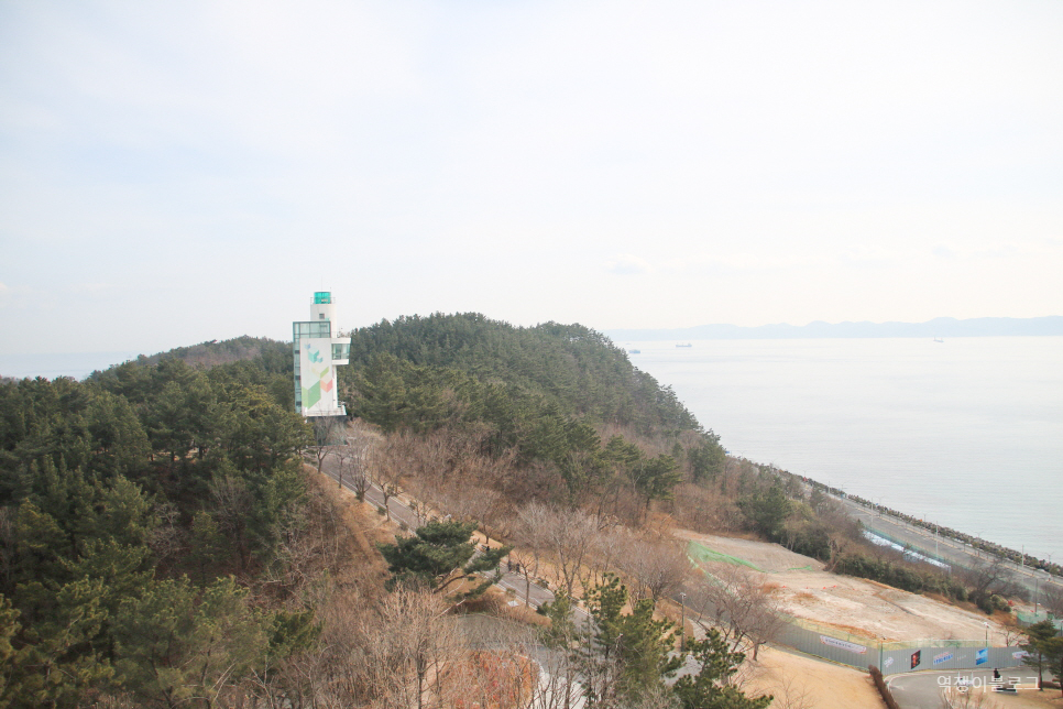 포항 스페이스워크 환호공원 스카이워크 핫플 여행