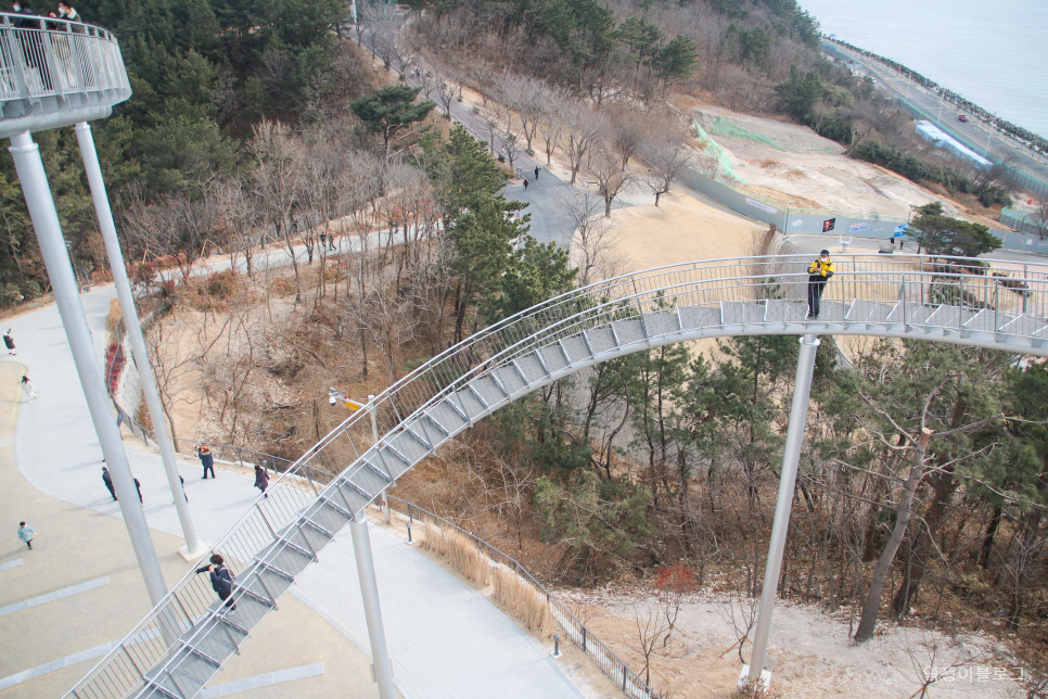 포항 스페이스워크 환호공원 스카이워크 핫플 여행