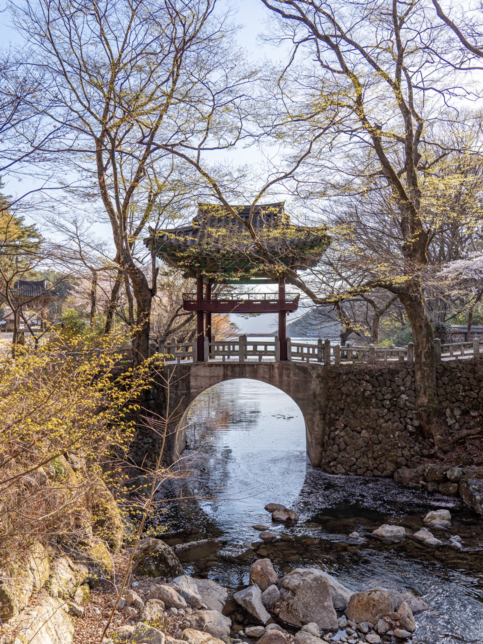 구례 가볼만한곳 BEST 10 : 3월 전남 꽃구경 구례여행