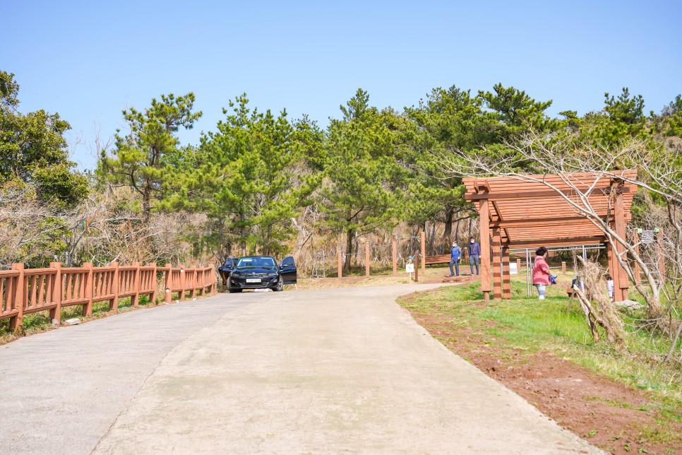 제주도 오름 추천 중문에서 가까운 서귀포 군산오름