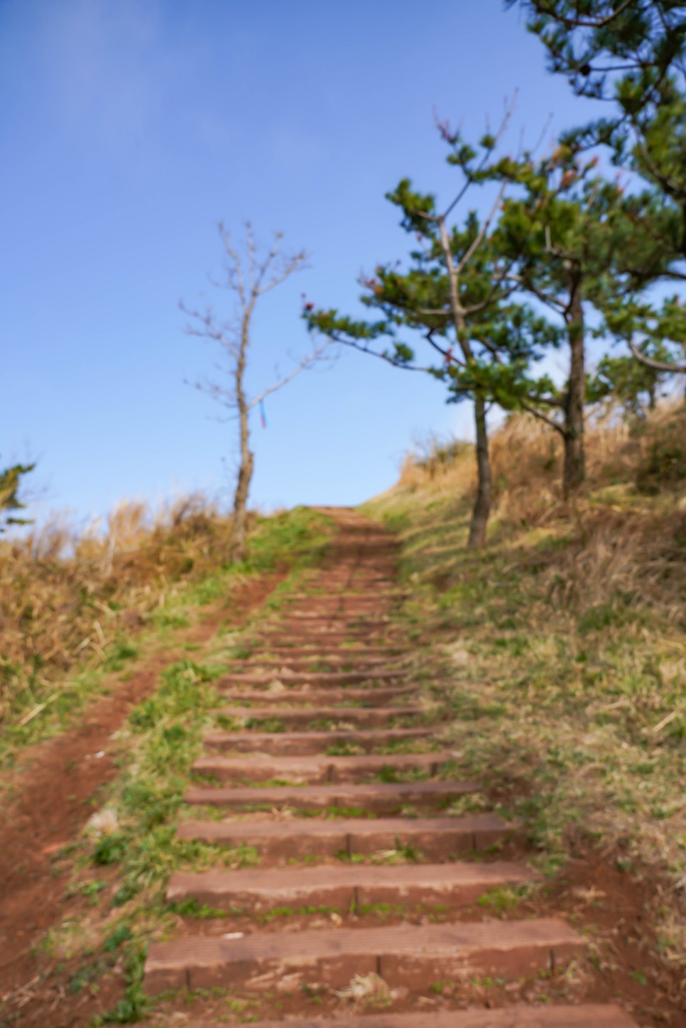 제주도 오름 추천 중문에서 가까운 서귀포 군산오름