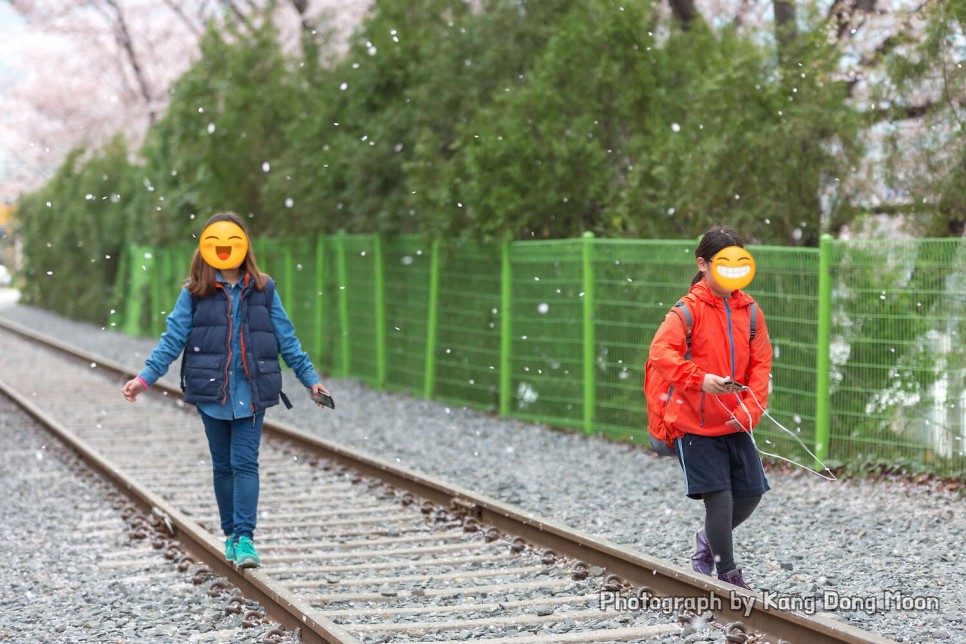 국내 봄 여행지 추천 주말 나들이 경남 가볼만한곳 창원 여행 진해 벚꽃 명소 경화역