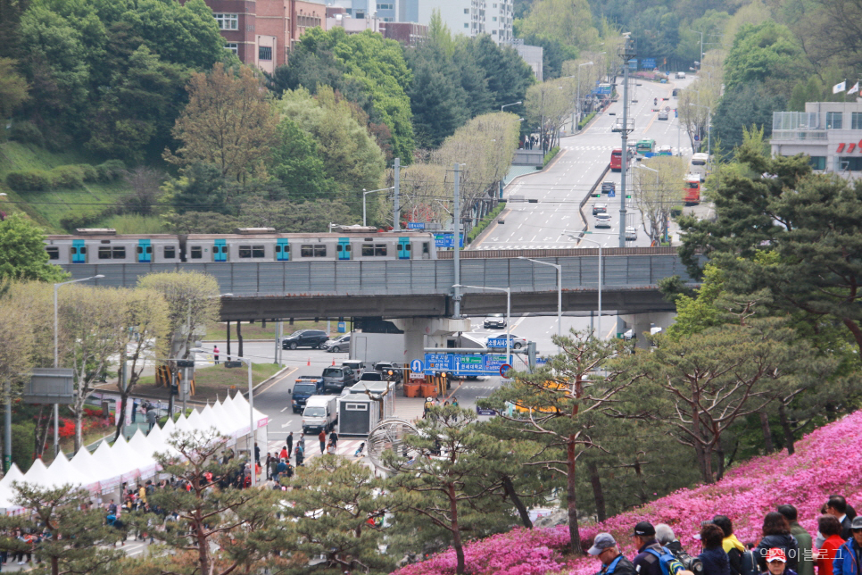 서울 근교 갈만한곳 경기도 여행지 추천 나들이 떠나기 좋은 7곳 모음