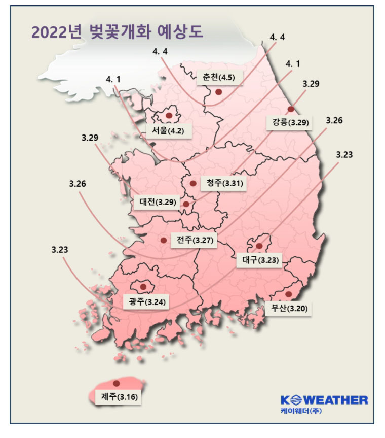 2022 벚꽃 개화시기 벚꽃 명소 제주 서울 부산 진해 10곳