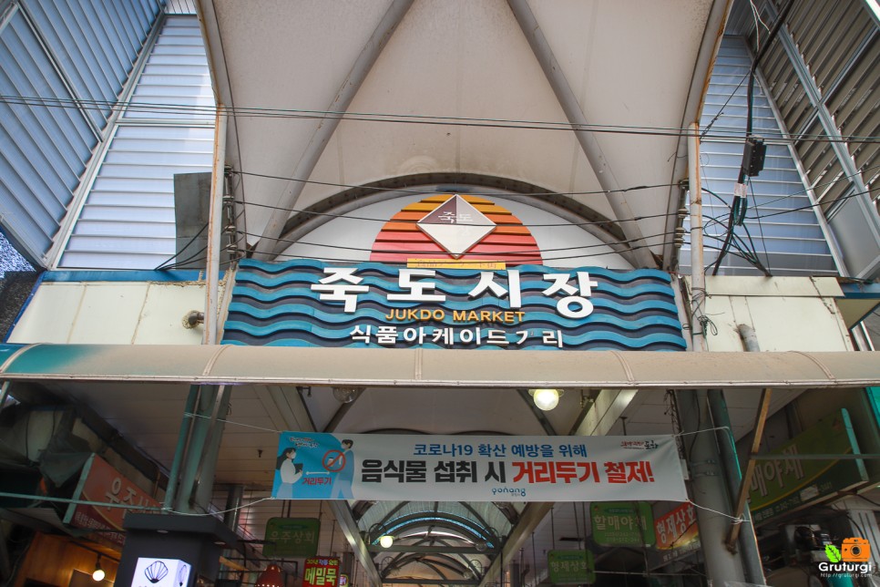 포항 볼거리 포항 죽도시장 먹거리 대게 수제비