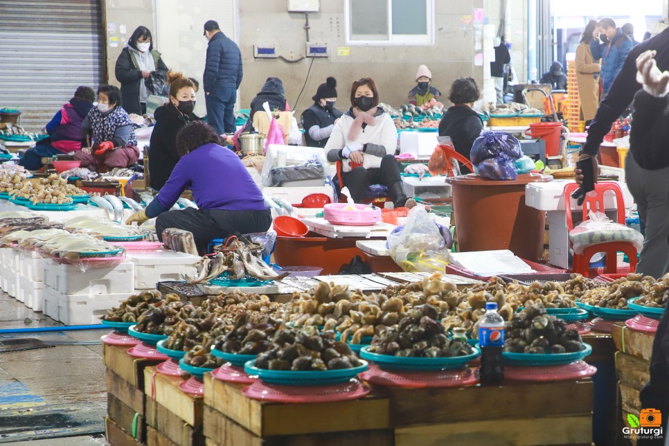 포항 볼거리 포항 죽도시장 먹거리 대게 수제비