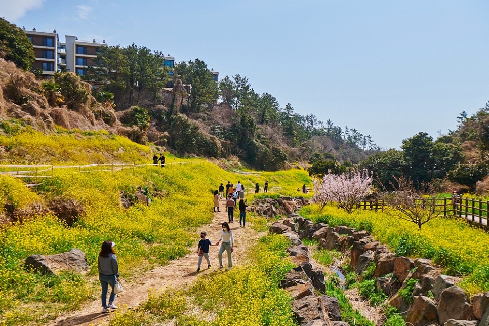 구찌가방 미니 크로스백 신상 잘 팔았더니 기분좋아요